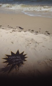 Mississippi Gulf Coast; White Sand Beaches, Biloxi, Spring Break, Golden Nugget; atlantago2girl