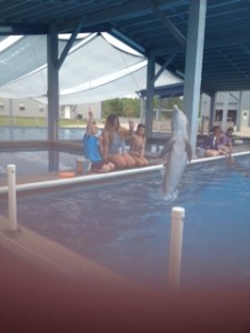 Institute for Marine Mammal Studies in Gulfport Mississippi; imms; spring break; gulfport; Mississippi gulfcoast;atlantago2girl