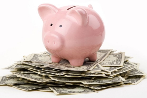 MoneySavings Pig1